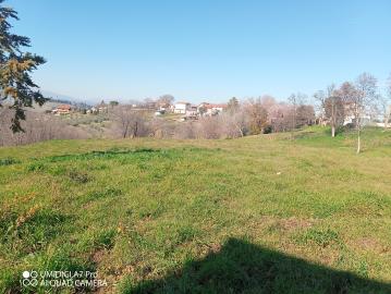 IMG_20220211_111033_977