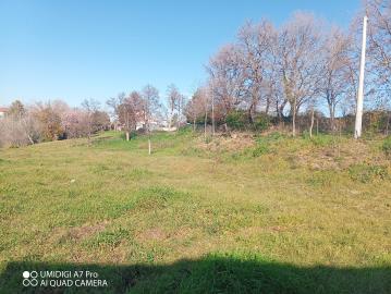 IMG_20220211_111034_800