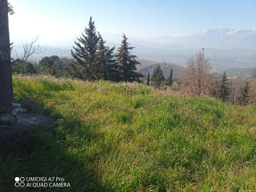 IMG_20220211_111048_834