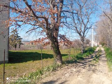 IMG_20220211_111334_893