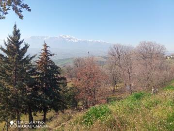 IMG_20220211_111123_611
