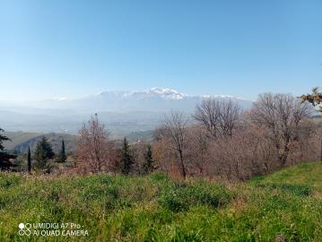 IMG_20220211_111045_907
