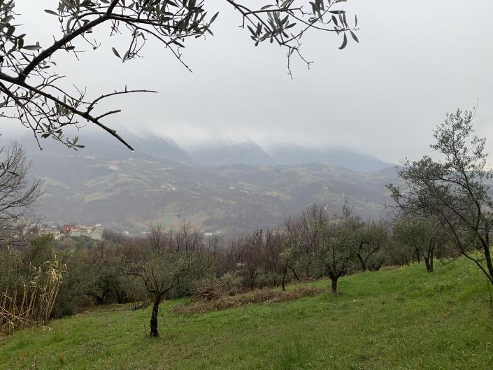 Image No.6-Propriété de pays de 2 chambres à vendre à Gessopalena