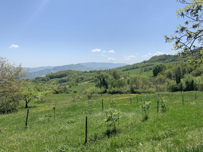 Image No.32-4 Bed Country Property for sale