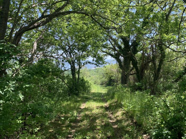 Image No.41-4 Bed Country Property for sale