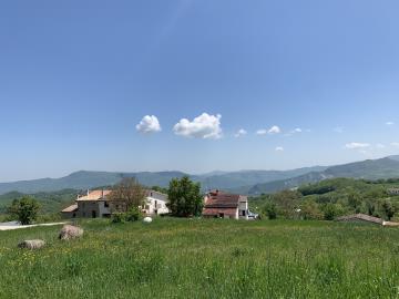 IMG_7280