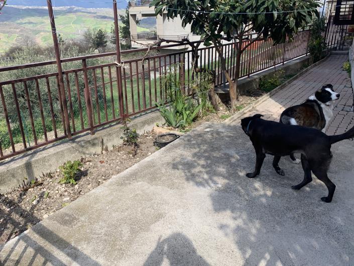 Image No.29-1 Bed Villa / Detached for sale