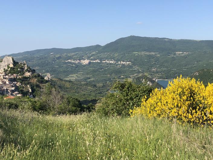 Image No.3-1 Bed Villa / Detached for sale