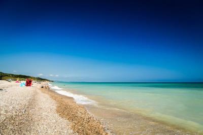 shutterstock_315231131
