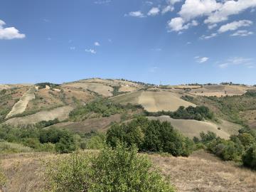 IMG_2003