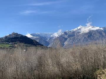 IMG_6889