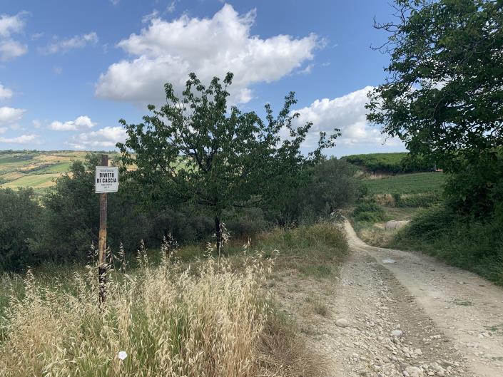 Image No.6-Terre à vendre à Castél Frentano