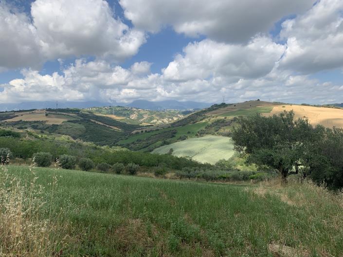 Image No.10-Terre à vendre à Castél Frentano