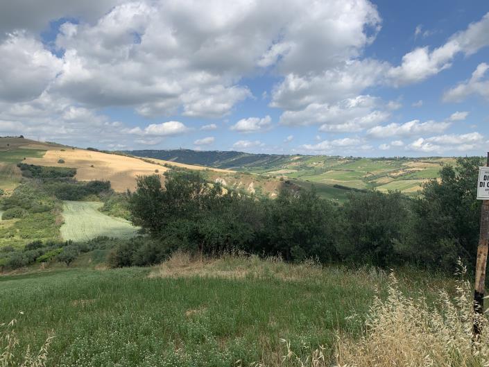 Image No.12-Terre à vendre à Castél Frentano