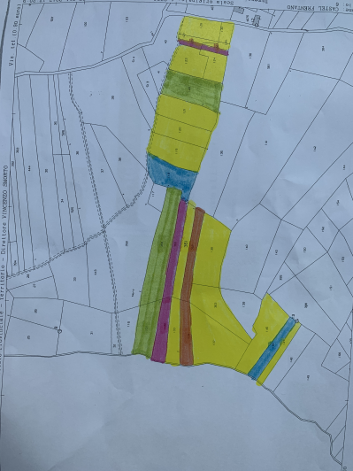 Image No.3-Terre à vendre à Castél Frentano