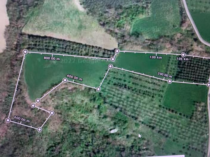 Image No.2-Terre à vendre à Castél Frentano