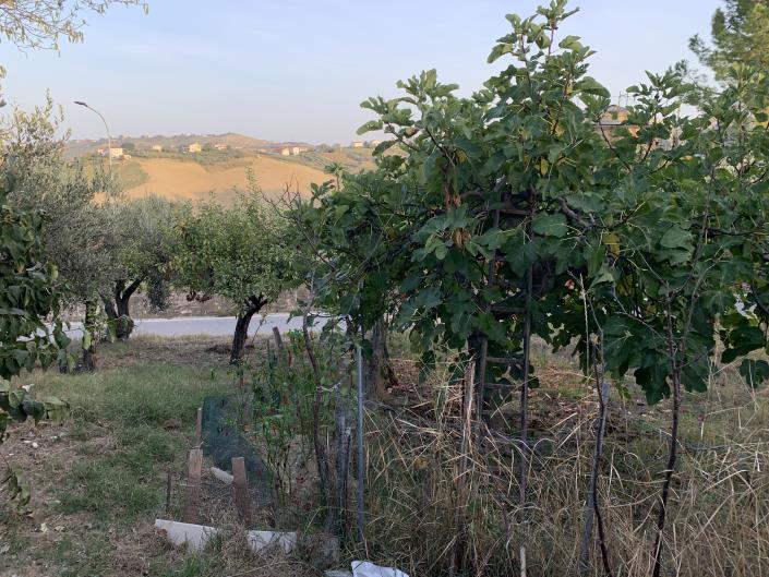 Image No.18-Terrain à vendre à Atessa