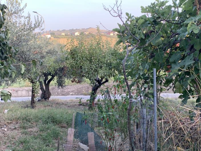 Image No.20-Terrain à vendre à Atessa