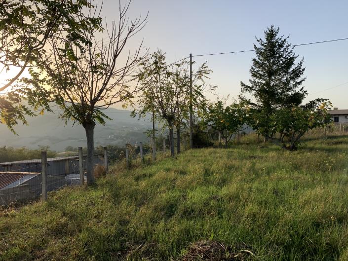 Image No.24-Terrain à vendre à Atessa