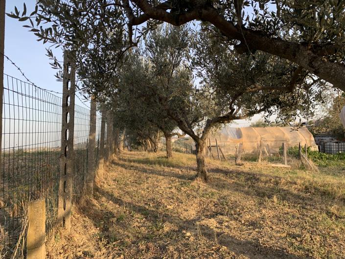 Image No.30-Terrain à vendre à Atessa