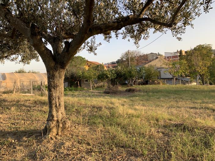 Image No.7-Terrain à vendre à Atessa