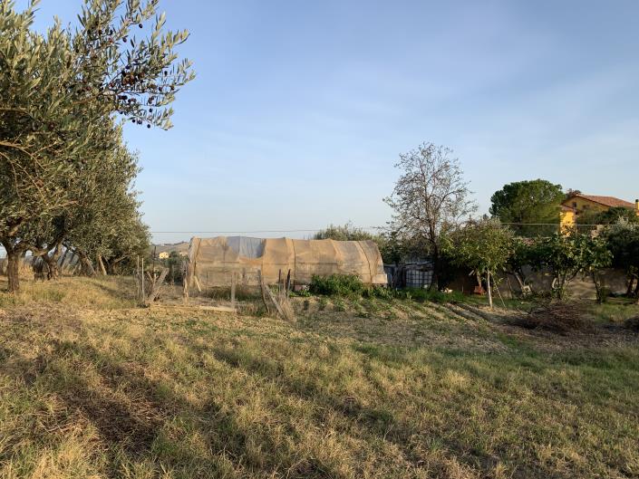Image No.32-Terrain à vendre à Atessa