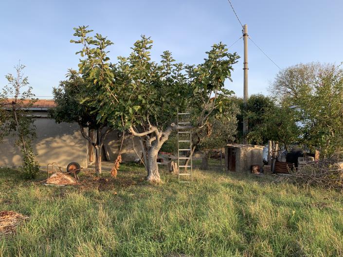 Image No.38-Terrain à vendre à Atessa