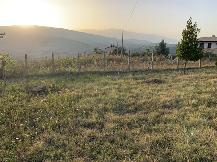 Image No.8-Terrain à vendre à Atessa