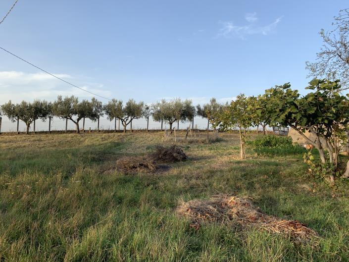 Image No.39-Terrain à vendre à Atessa