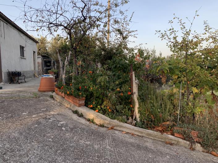 Image No.45-Terrain à vendre à Atessa