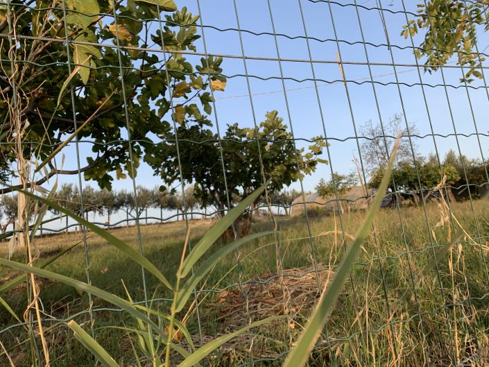 Image No.52-Terrain à vendre à Atessa