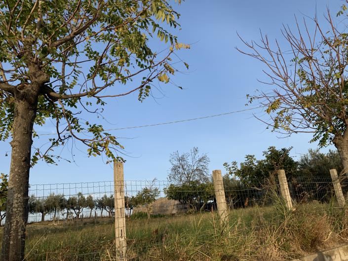 Image No.51-Terrain à vendre à Atessa