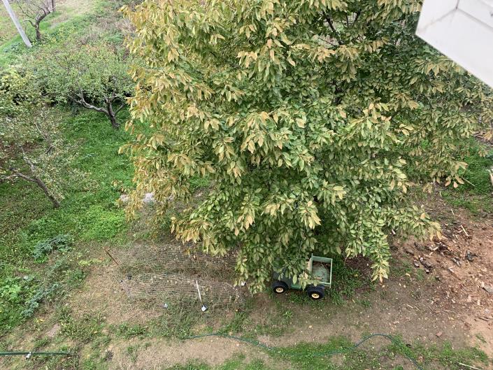 Image No.14-5 Bed Property for sale