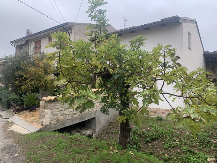 Image No.40-5 Bed Country Property for sale