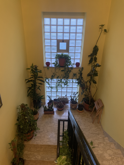 Image No.51-5 Bed Country Property for sale