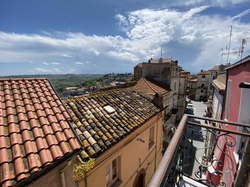 IMG_9906