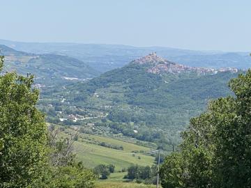 IMG_1630