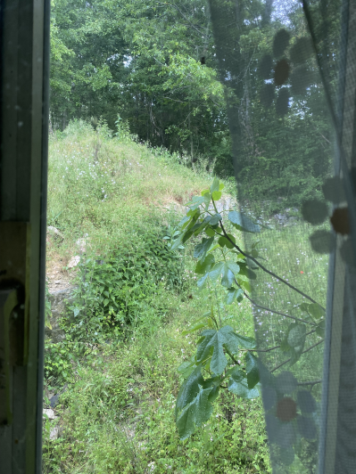 Image No.35-3 Bed Country Property for sale