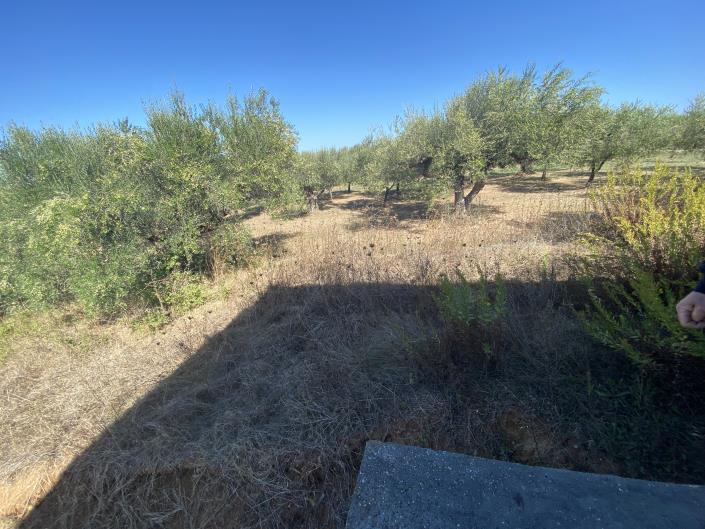 Image No.27-Villa / Détaché à vendre à Rocca San Giovanni