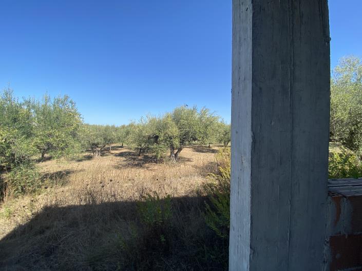 Image No.31-Villa / Détaché à vendre à Rocca San Giovanni