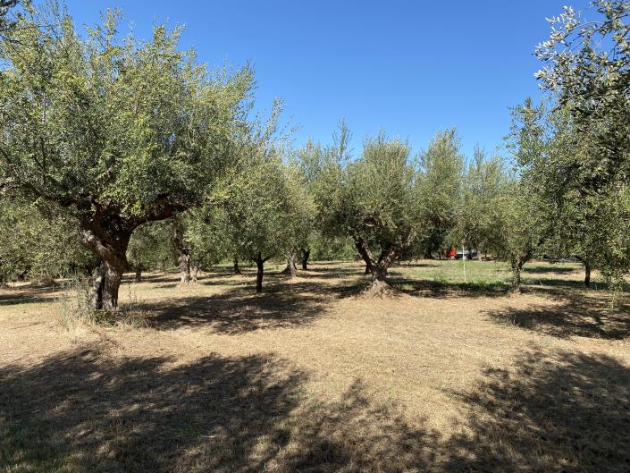 Image No.33-Villa / Détaché à vendre à Rocca San Giovanni