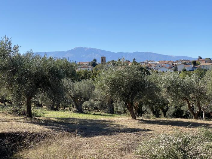 Image No.35-Villa / Détaché à vendre à Rocca San Giovanni