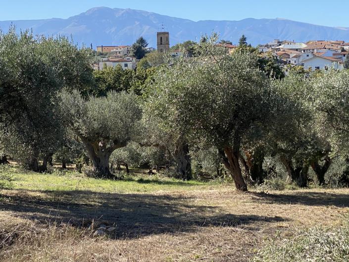 Image No.3-Villa / Détaché à vendre à Rocca San Giovanni
