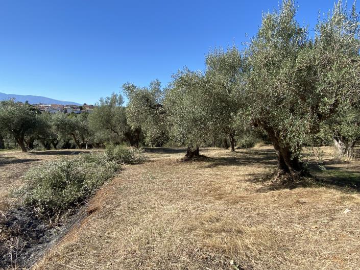 Image No.36-Villa / Détaché à vendre à Rocca San Giovanni