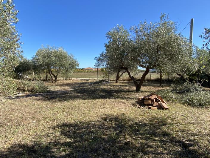 Image No.41-Villa / Détaché à vendre à Rocca San Giovanni