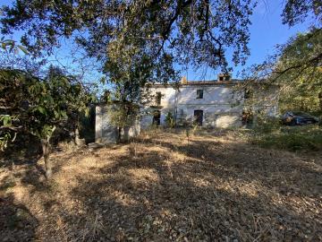 Terrain à vendre à Castél Frentano