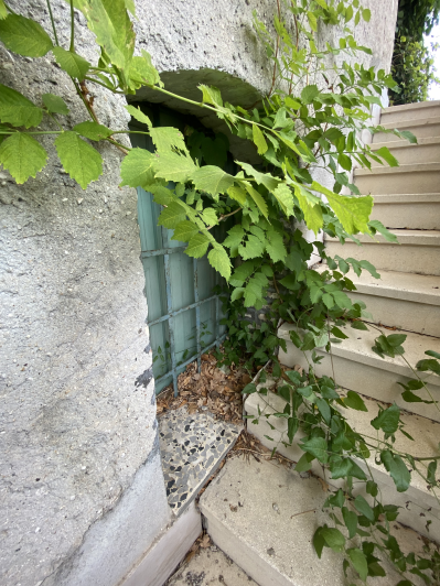 Image No.26-Farmhouse for sale