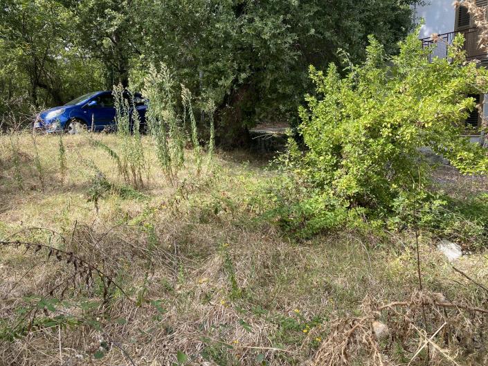 Image No.39-Farmhouse for sale