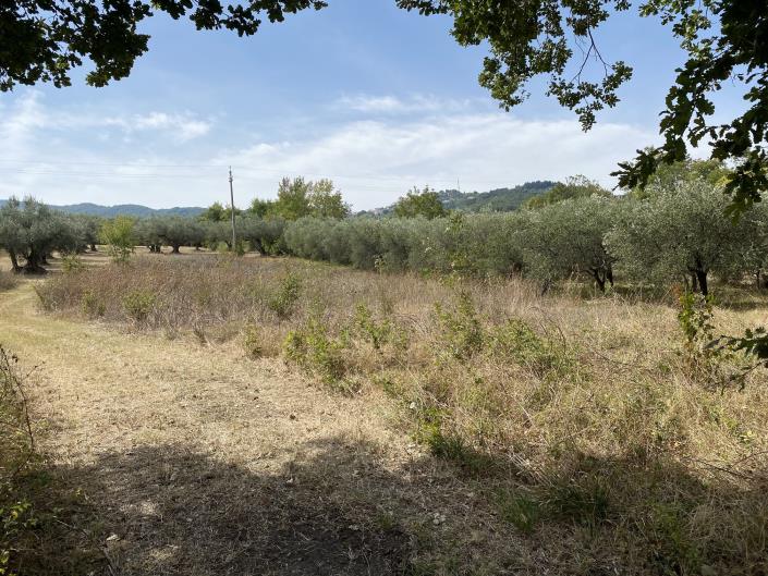 Image No.49-Farmhouse for sale