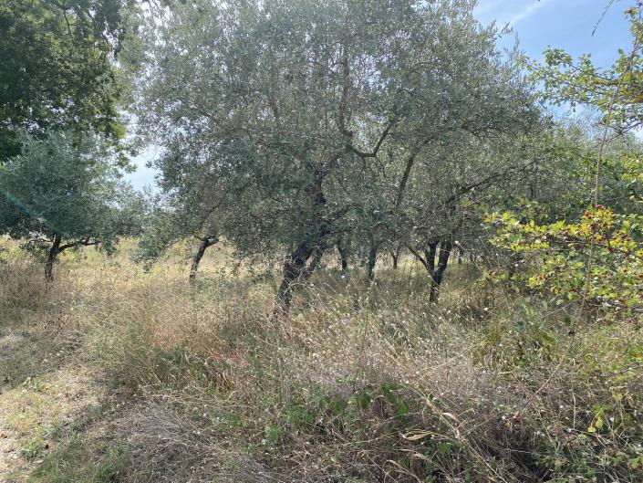 Image No.5-Plot for sale